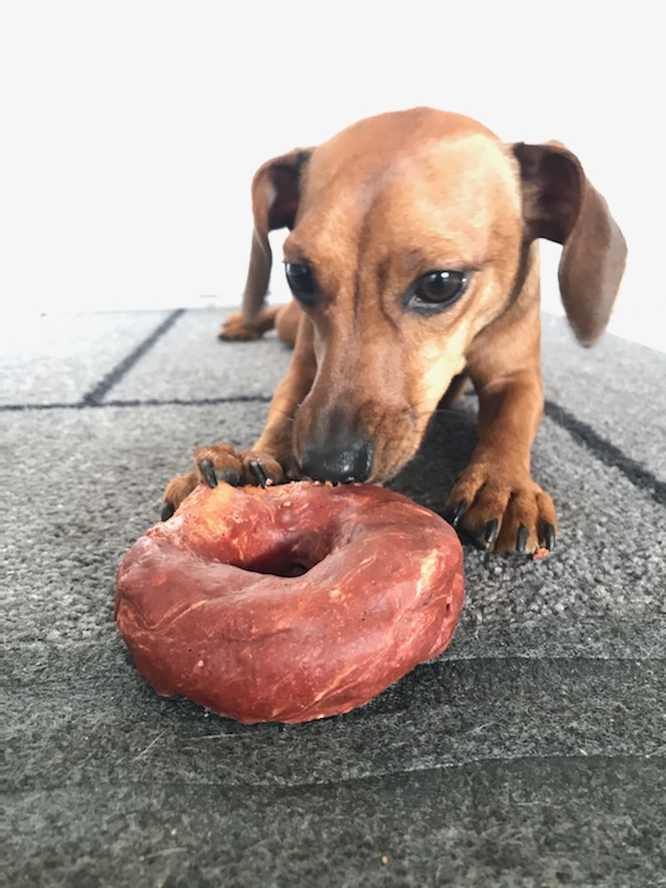 [Image: IMG-9304.jpg]