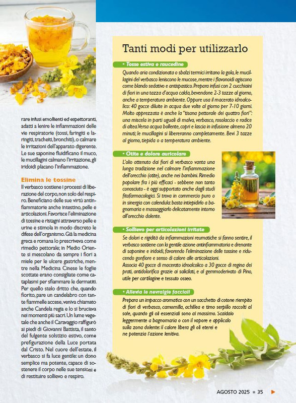 Sal Nat Ago 2025 (4)