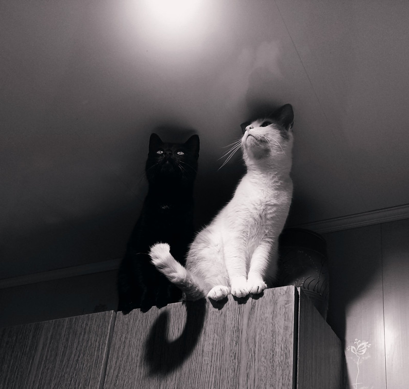 изображение_viber_2022-07-28_11-25-34-846