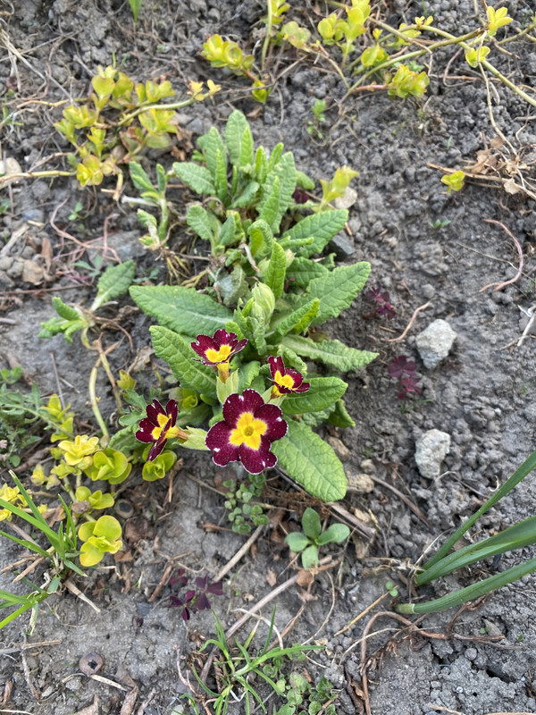 F99EBF18-B3D3-477D-94C7-AC7CF45D8F5A