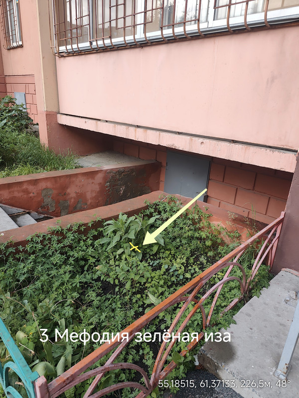 IMG 20260608 190257