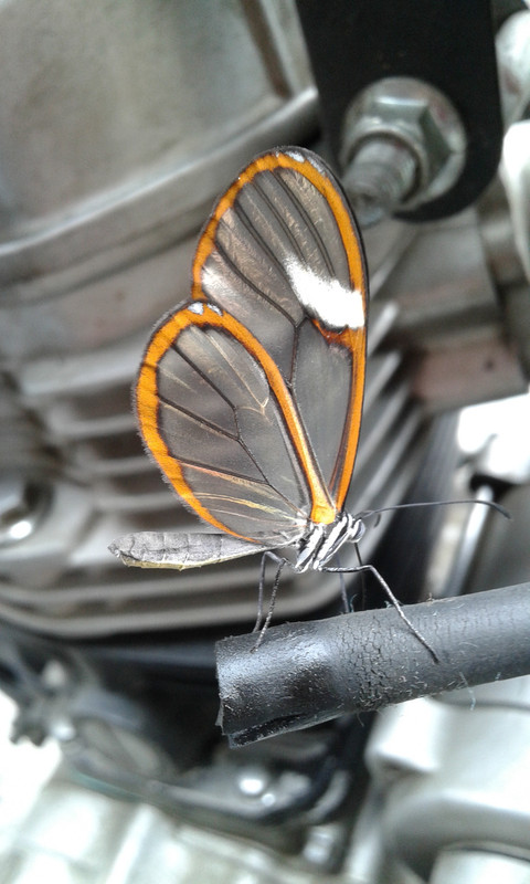 20150817_132958