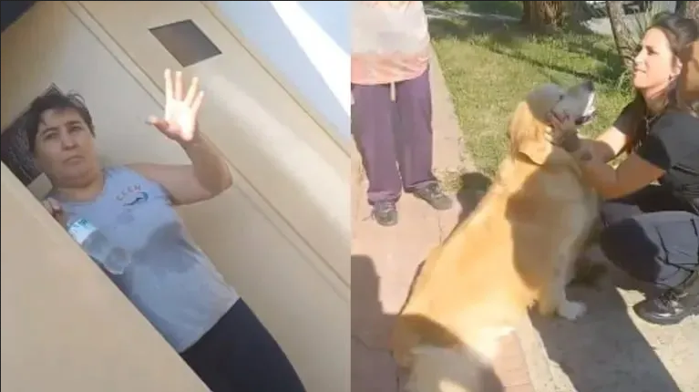 Mujer causa indignación al llevar a su perro a una carnicería para que lo