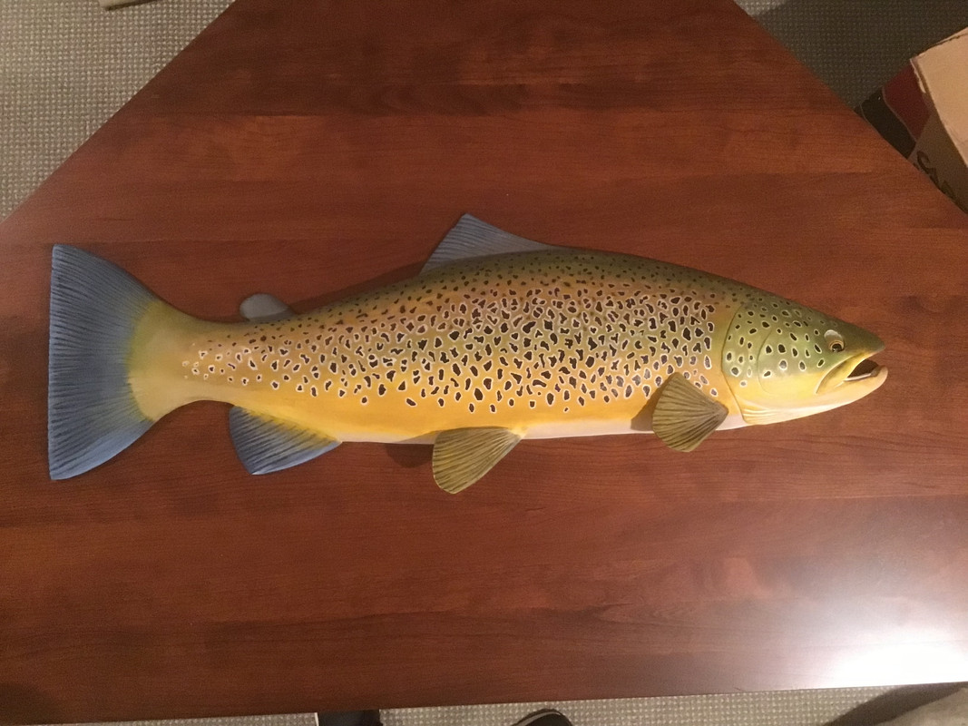 4AEE1EA1-F364-4BFB-AFB3-6E9D16AC4E4B