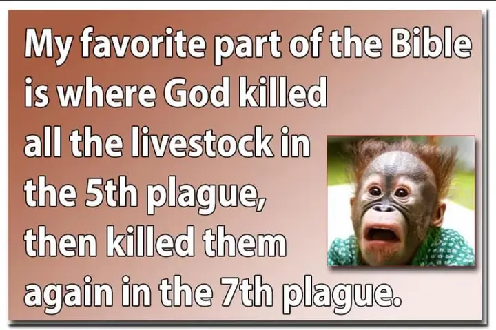 [Image: Stock.webp]