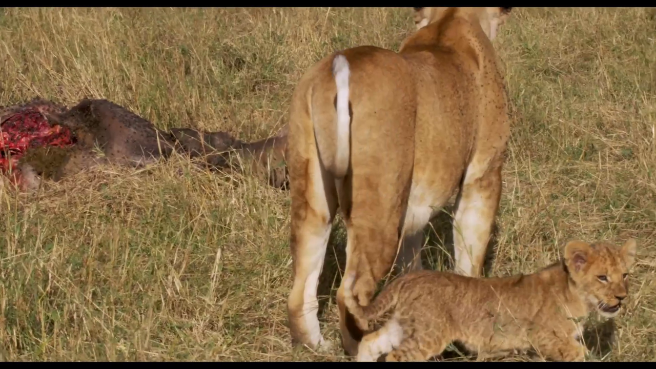 vlcsnap-2023-03-13-10h05m53s277