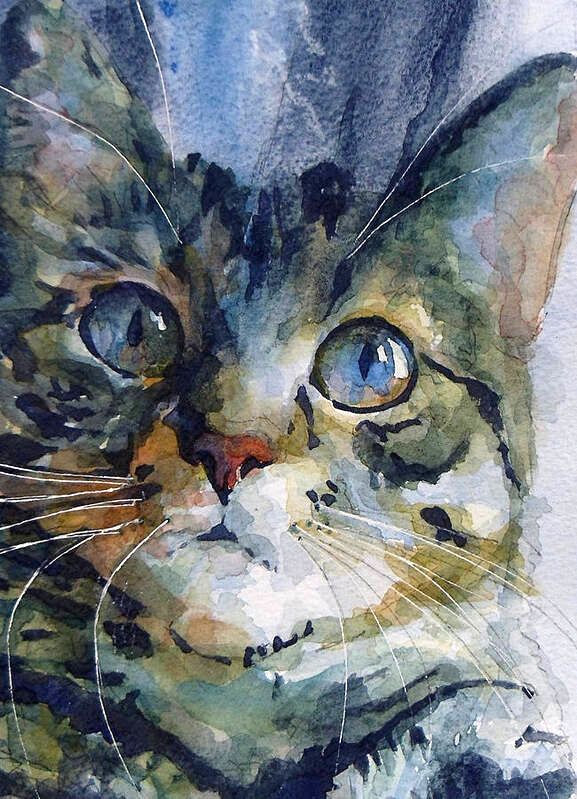 mystery-tabby-paul-lovering
