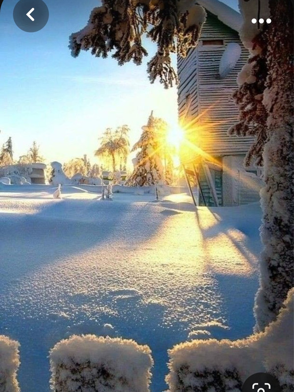 Screenshot_20231016_192729_Pinterest