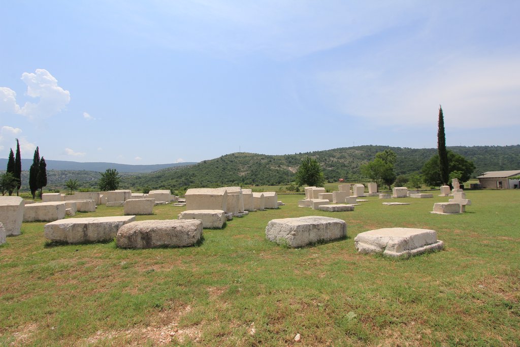 [Linked Image]