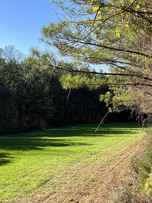 B3091A09-C4E9-4DFD-AC8A-1A506BADCE03