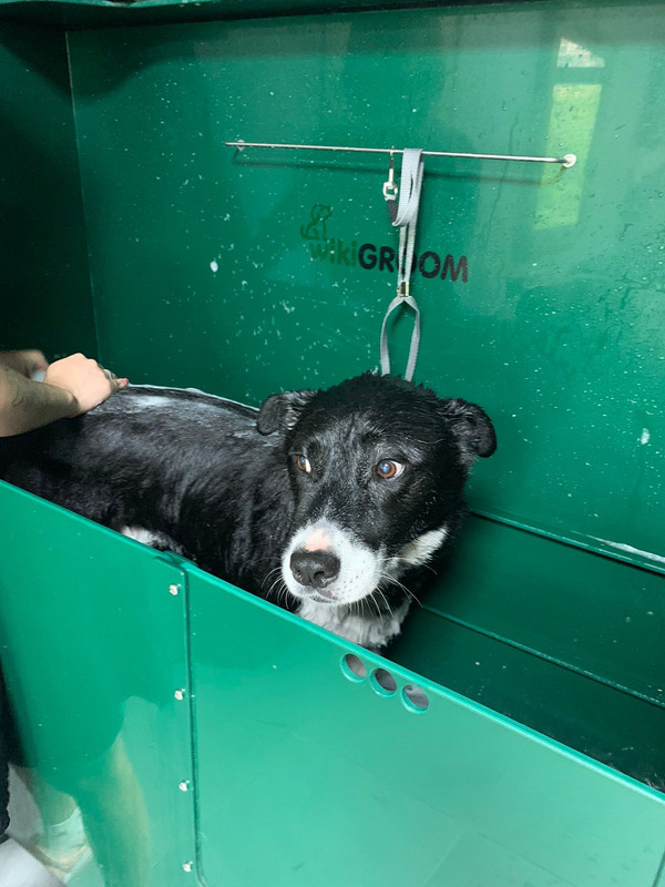 DC6E27FC-6967-4D3B-ABB9-4E25B1AE6E77