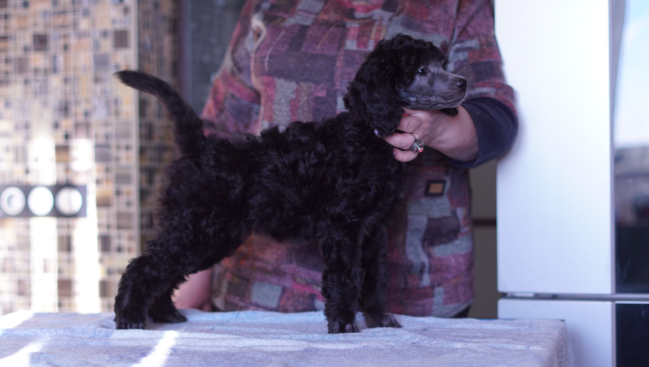 C0599025-FA20-4DDF-9101-AB5845F2EB7D