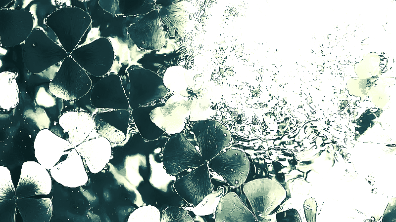 clovers