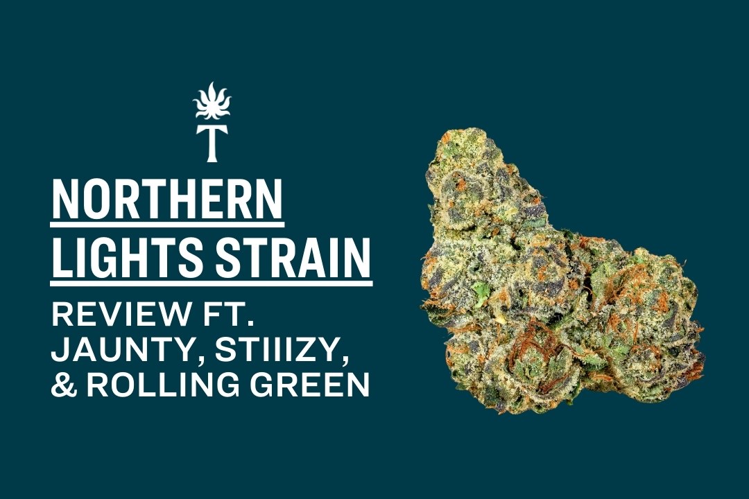 Northern Lights strain flower
