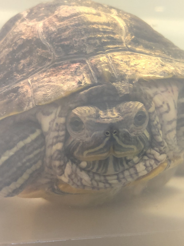 F4907BD9-EAD9-475A-966D-A5DDABBD774D