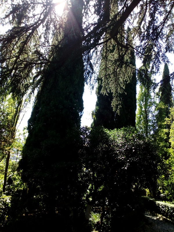 IMG_20170916_115843_1CS