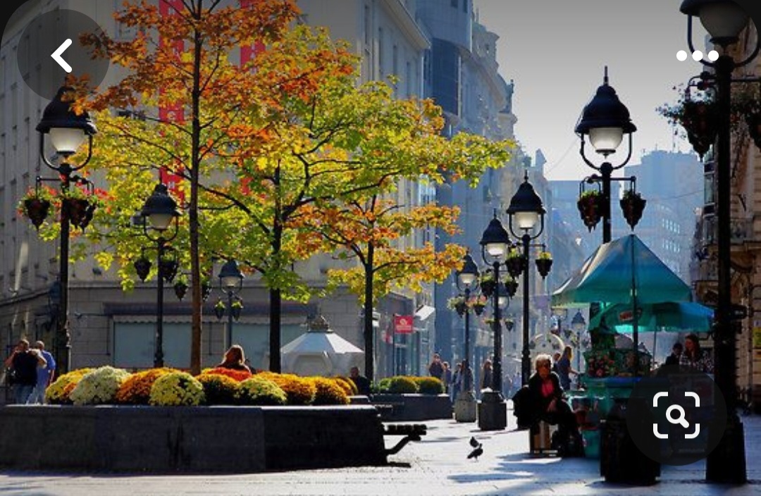 Screenshot_20231119_093712_Pinterest