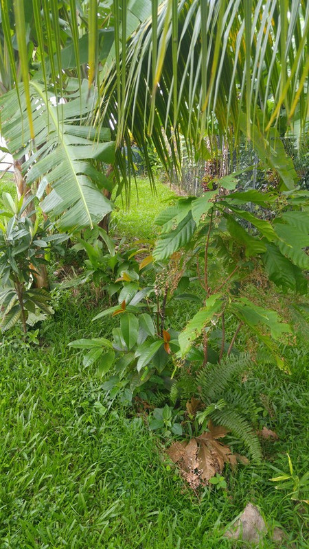 20170513_073619 (Copier)