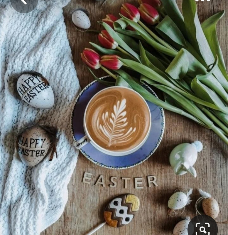 Screenshot_20230317_001129_Pinterest