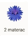 2m
