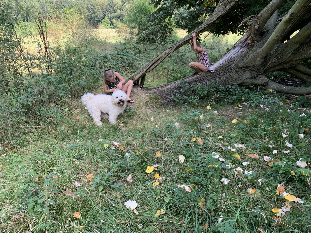 5EFC2EF9-17AA-437F-A97D-0DD22F11C75B