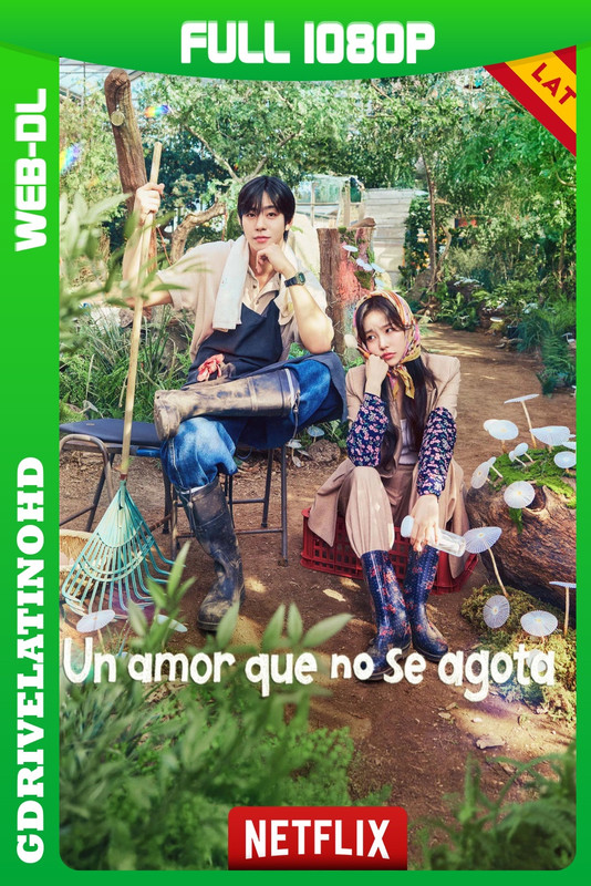 Un amor que no se agota (2026) Temporada 1 [12/12] WEB-DL 1080p Latino-Coreano