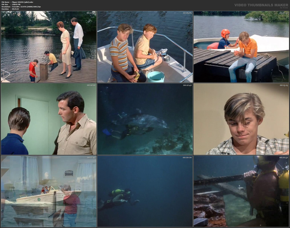 Flipper S01E01 (pilot).mkv