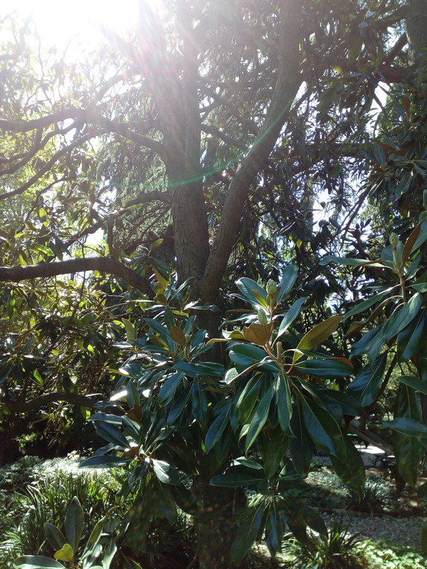 IMG_20170916_115801_2CS