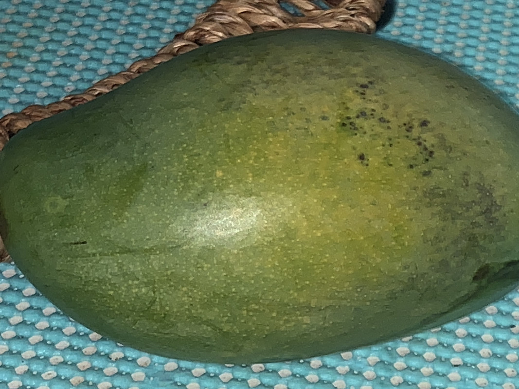 48AF027A-8659-4BA7-BB48-7D1262D8BADF