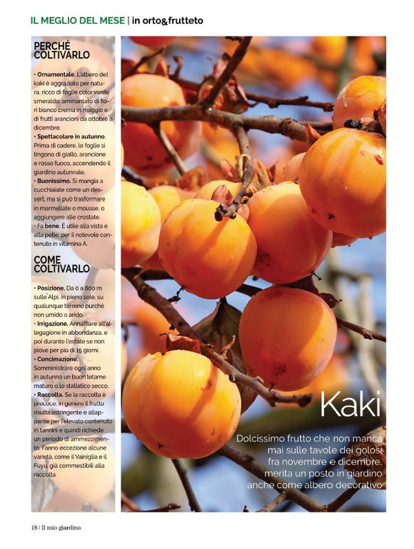 Il Mio Giar Nov-Dic 2021 (7)