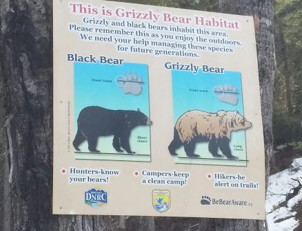 Bear_sign_1.jpg