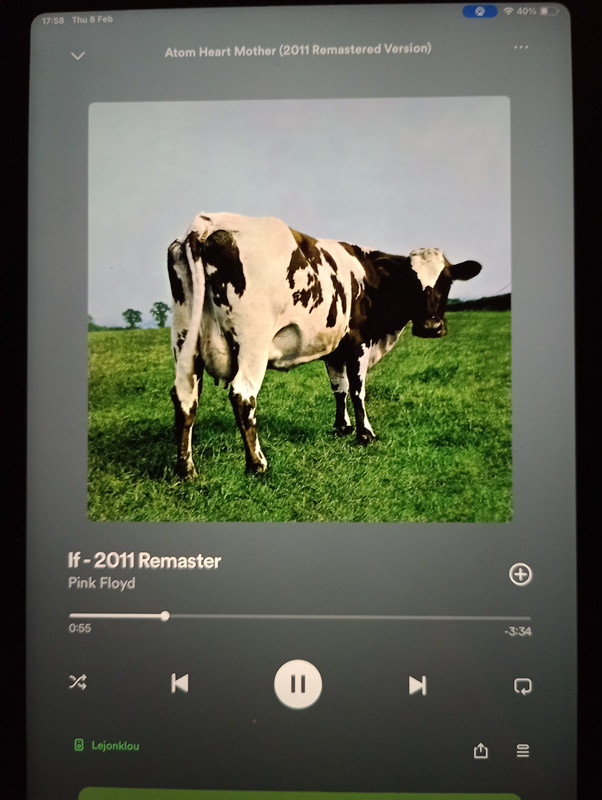 IMG_20240208_175836735_MFNR