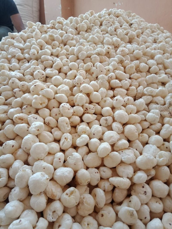 Bulk Order Makhana