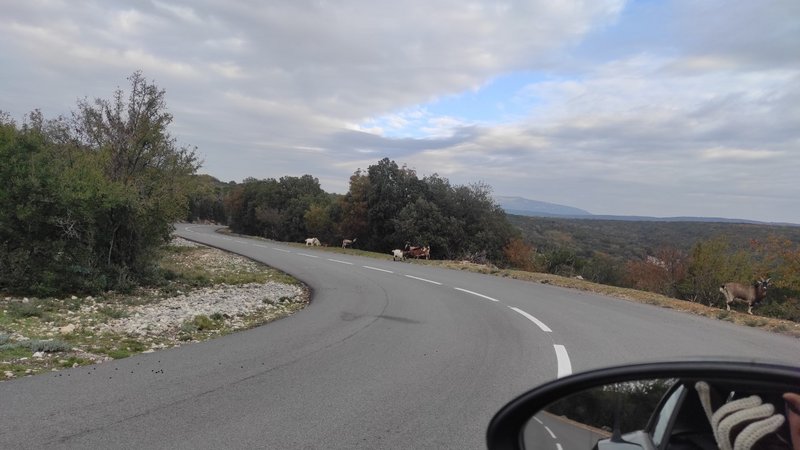 L'Ardèche ou la dèche - Page 3 Thumbnail-1669980428465