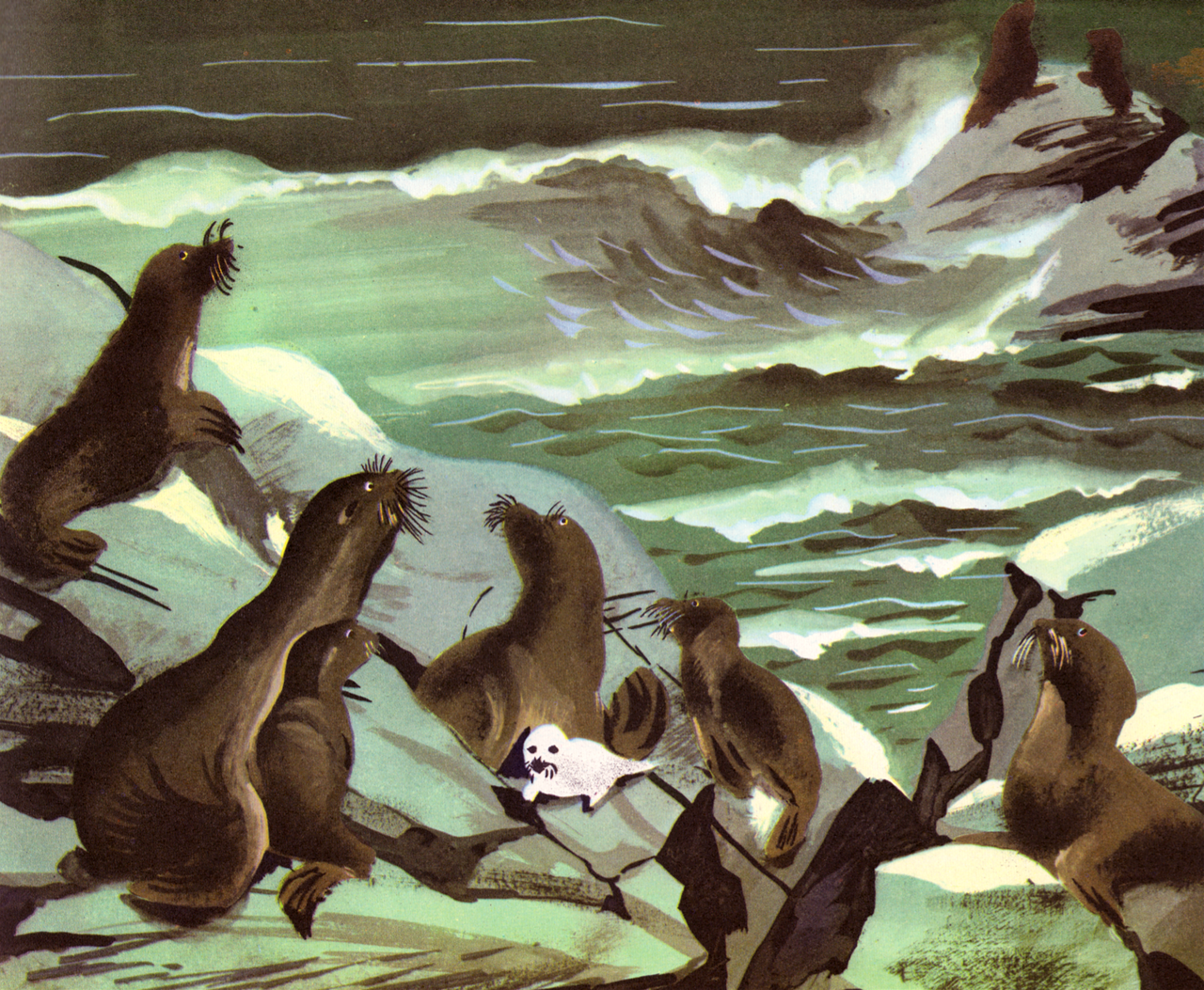 6414874077_1343084083_o