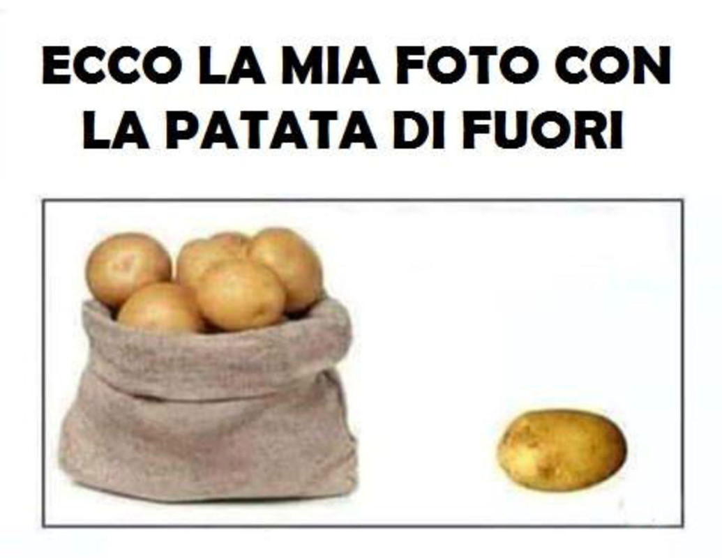 14212187_1283083521723030_838900588239758251_n