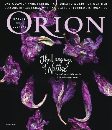 Orion - Spring / 2023