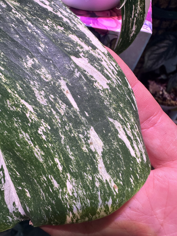 0C763808-EF76-4C13-8511-60B0E4392FA6