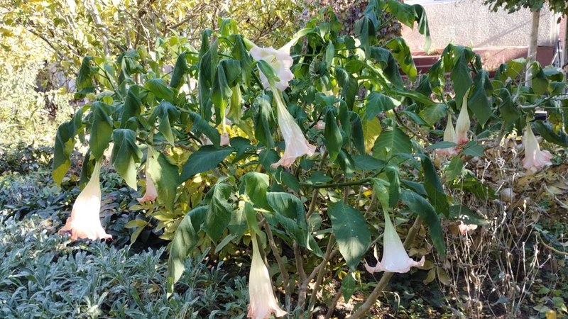 изображение_viber_2024-11-05_15-26-13-352