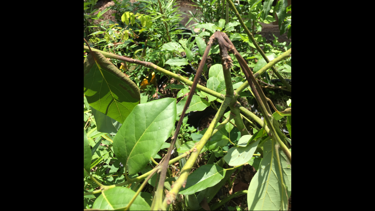 C3978A9E-9BDE-498D-8082-B22FC4DC7312