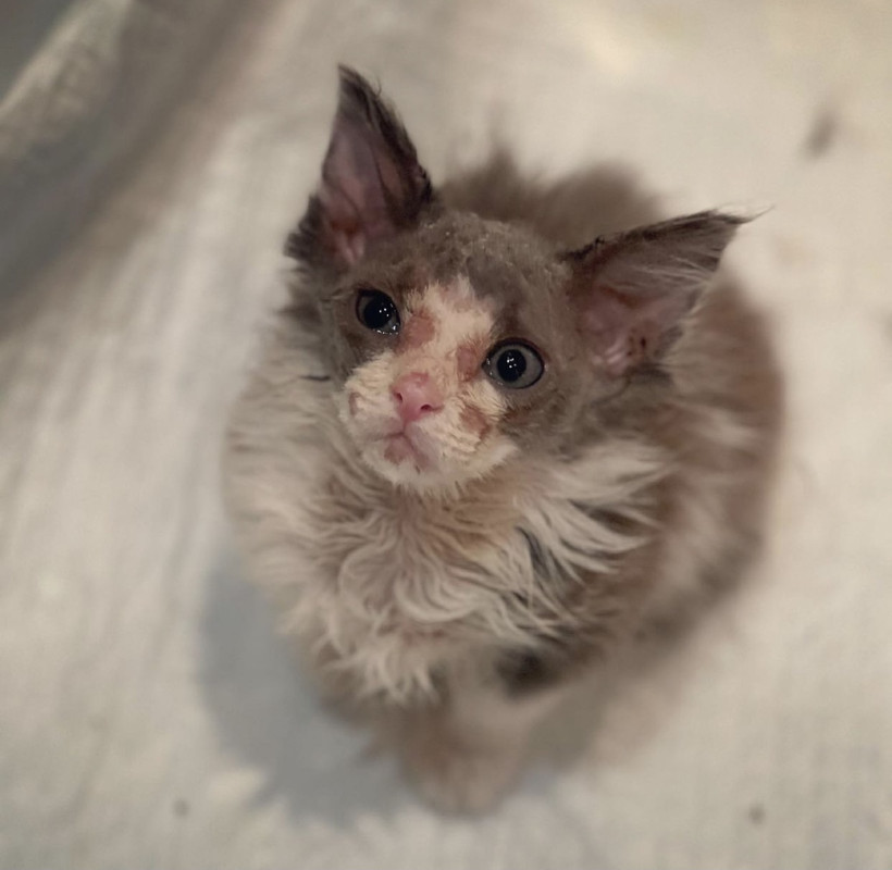 6F432300-34A6-461A-A4F3-9471C27D9DF1