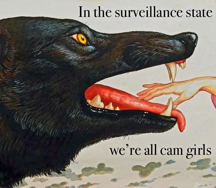 In the surveillance state, we are all cam girls