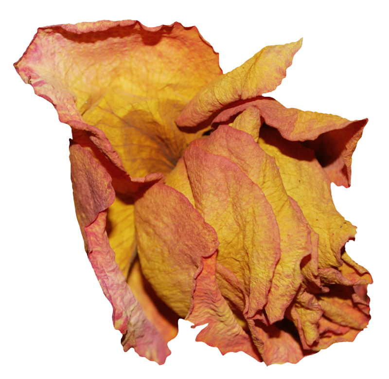 IPD_AH_Element (127)