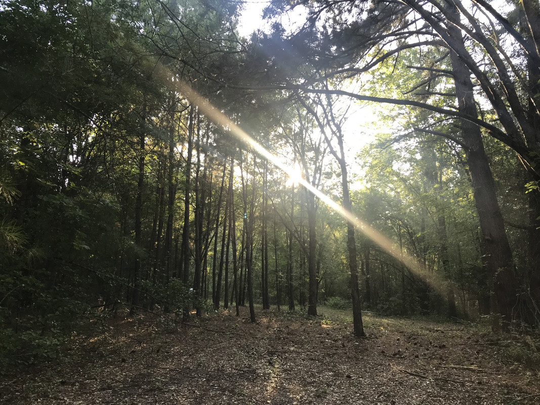 AF68DC55-20D6-4FBB-9B17-2DA9464BB0E3