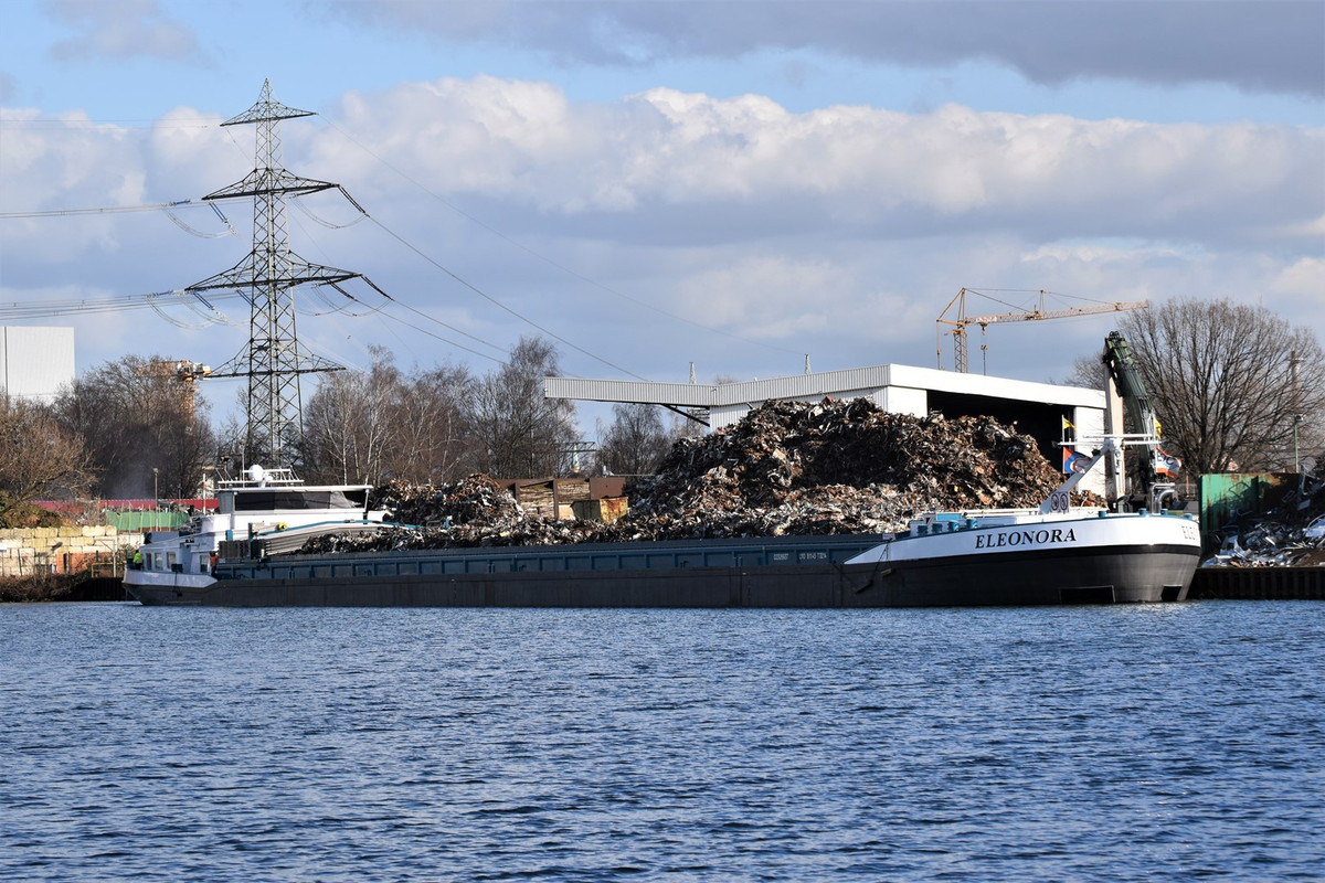 2021.02.26a3 Eleonora