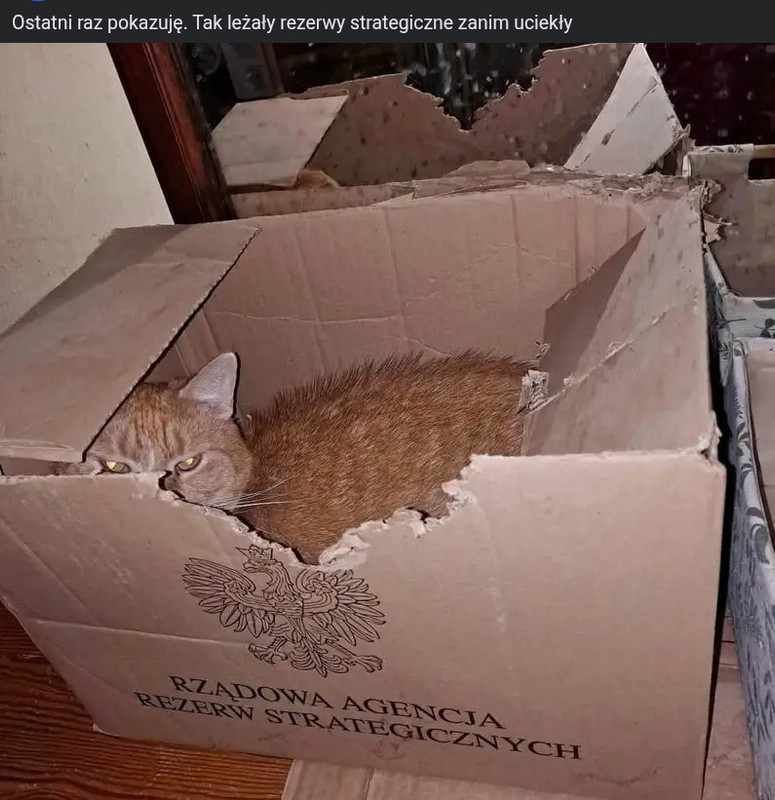 Screenshot_20251010-154345~2