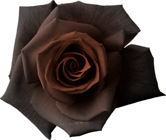 Autumn Witchery (97)