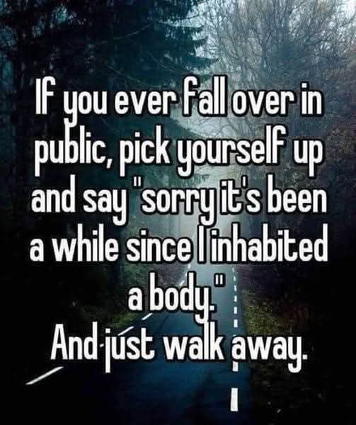 FB_IMG_1752807556561.jpg