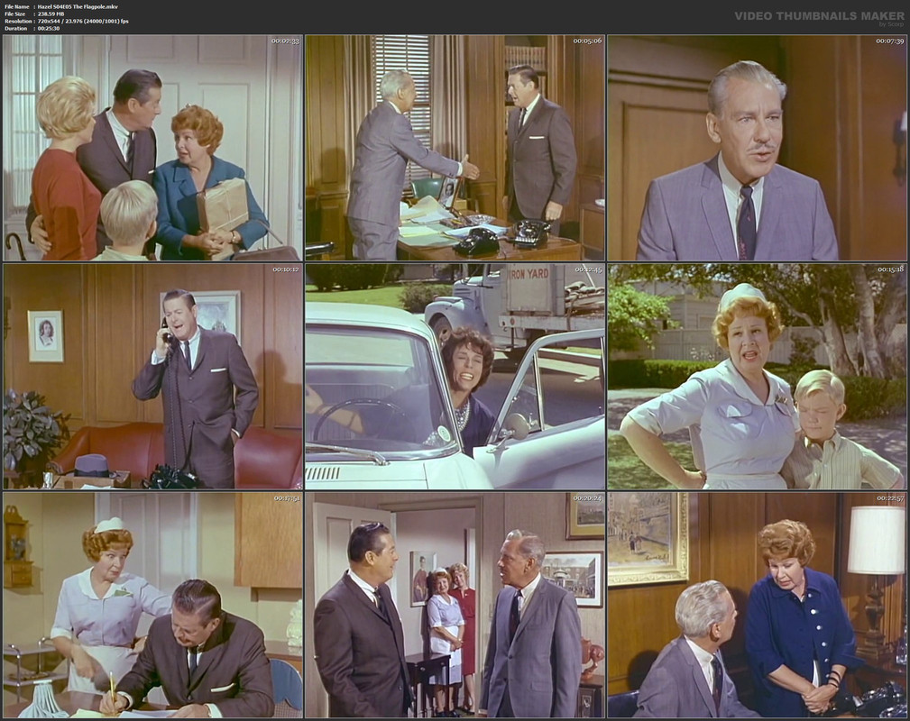 Hazel S04E05 The Flagpole.mkv