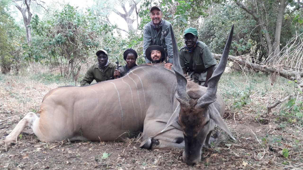 12A29D43-9C98-44BE-B76B-100D3C234B85